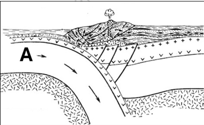 Изображение квиза