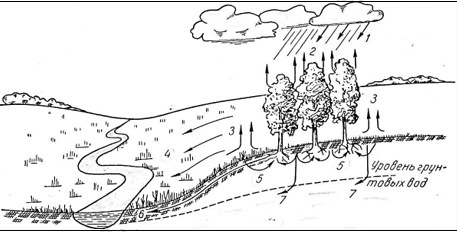 Изображение квиза