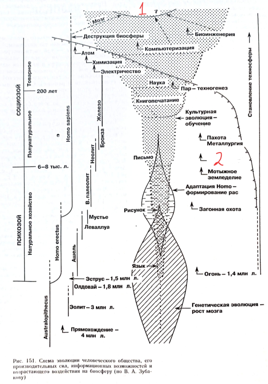Изображение квиза